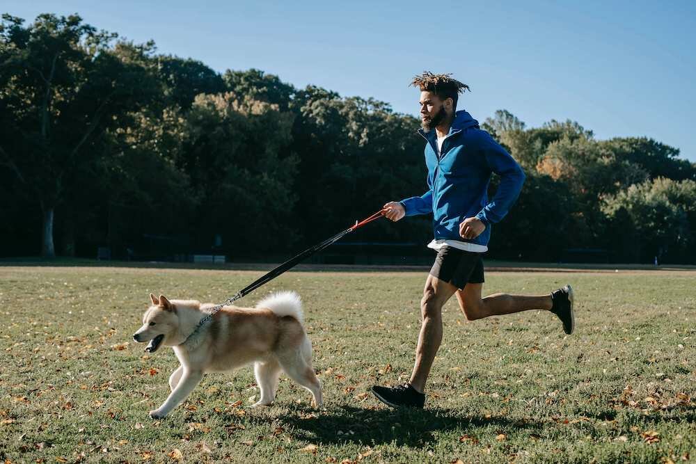 runner wearing jacket and shorts
