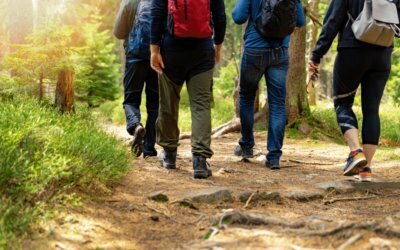 Walking to Lose Weight