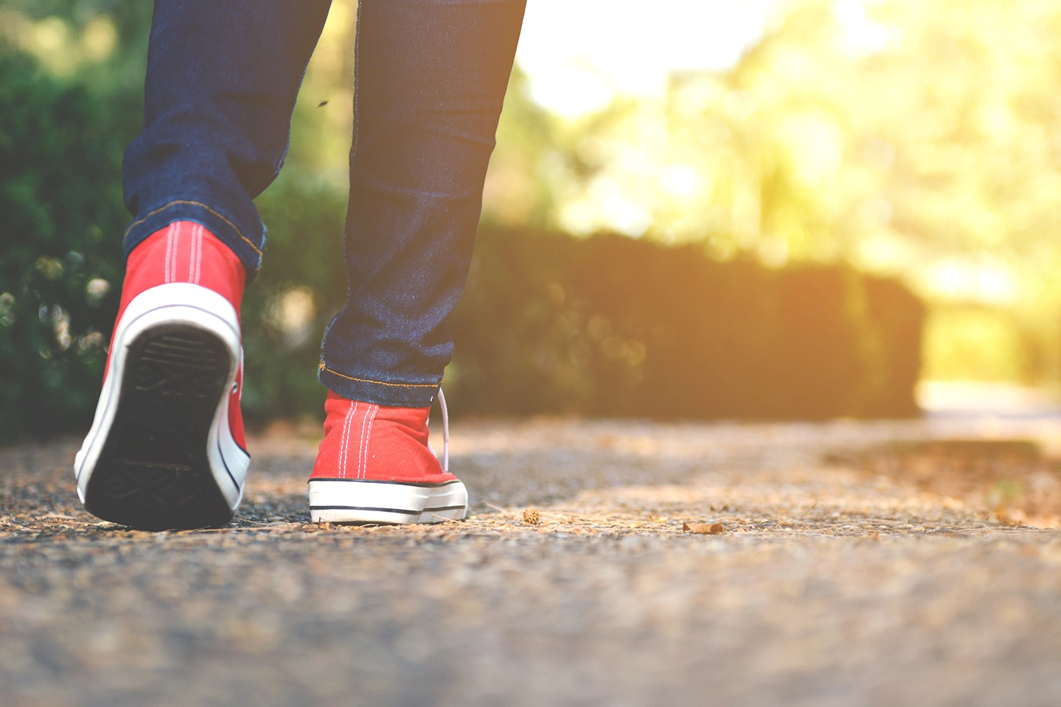Why Should You Walk 10000 Steps a Day